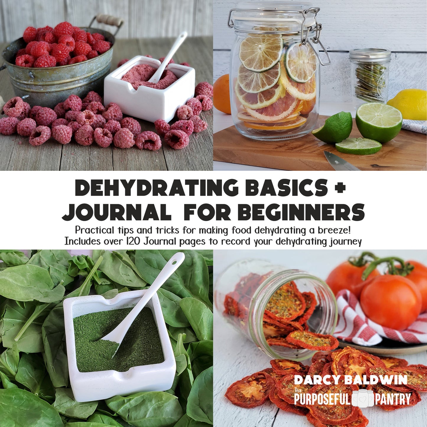 The Purposeful Pantry Dehydrating Basics & Journal Book for beginners.