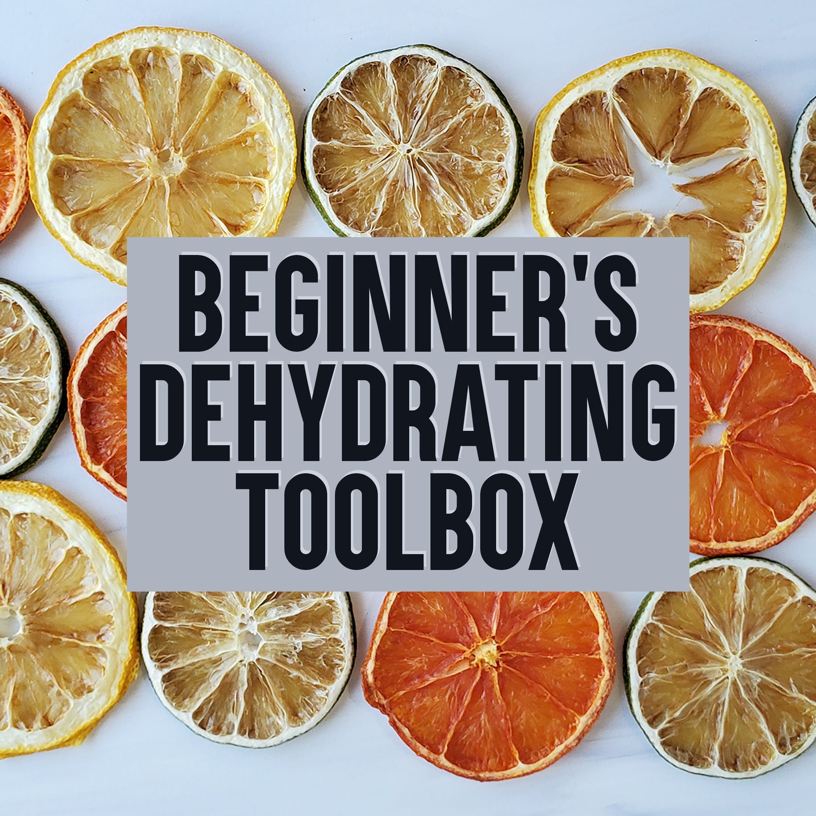 Beginners Dehydrating Toolbox Bundle The Purposeful Pantry